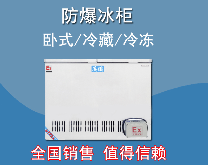 英鵬防爆臥式冰箱，存放油漆防爆冰箱BL-200