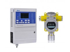 隔爆型液化氣報(bào)警器，液化石油氣報(bào)警器RBK-6000-ZL9