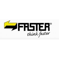 德國FAST數(shù)字轉換器