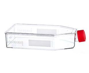 貼壁細(xì)胞培養(yǎng)瓶（TC處理，滅菌）661160 175cm&#178;，最大容積650ml（high）