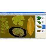 LA-S型植物葉面積、病斑、蟲損、葉色分檔分析儀系統(tǒng)