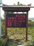 智能型負氧離子在線監(jiān)測系統(tǒng)，景區(qū)負氧離子監(jiān)測設備