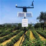NL-GPRS-I無線農(nóng)業(yè)氣象綜合監(jiān)測站 固定式無線農(nóng)業(yè)氣象站 農(nóng)業(yè)氣象臺(tái)